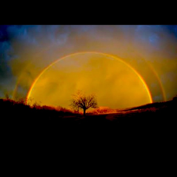 Meet your Posher, it's my Pleasure ! - Picture 2 of 16